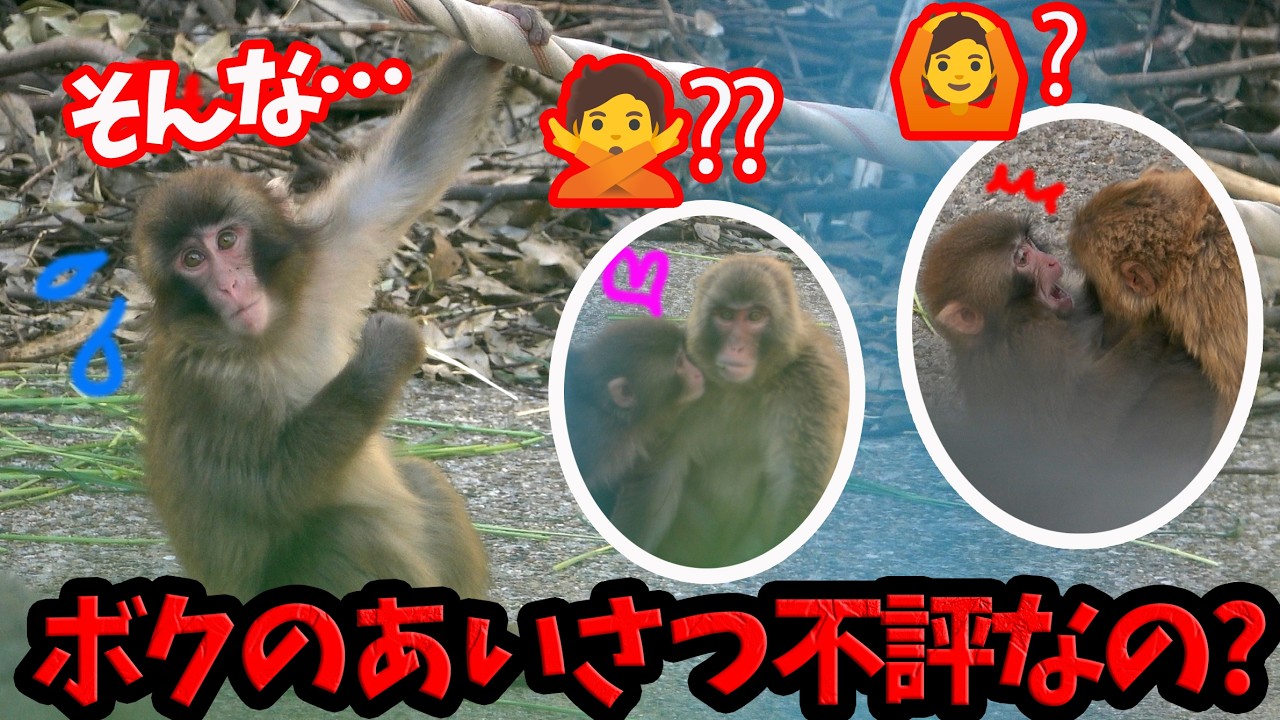 自分のあいさつが不評かもと気づき始めたパンチくん。【パンチくん