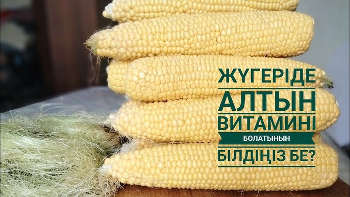 Анализ кезінде пениске сығу