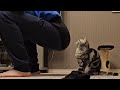 ＢＩＧ!