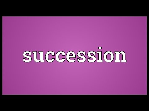 Succession Meaning