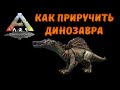 КАК ПРИРУЧИТЬ ДИНОЗАВРА В ARK | ПОДРОБНЫЙ ГАЙД