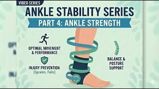 RED HARE Balance Board Training exercise 4 Ankle Strengthen