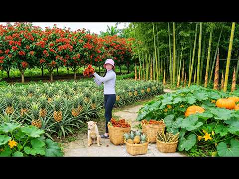 Harvest, Sell And Cook With Curry, Bamboo Shoots, Pineapples And Pumpkins – Solo Farming