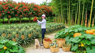 Harvest, Sell And Cook With Curry, Bamboo Shoots, Pineapples And Pumpkins – Solo Farming
