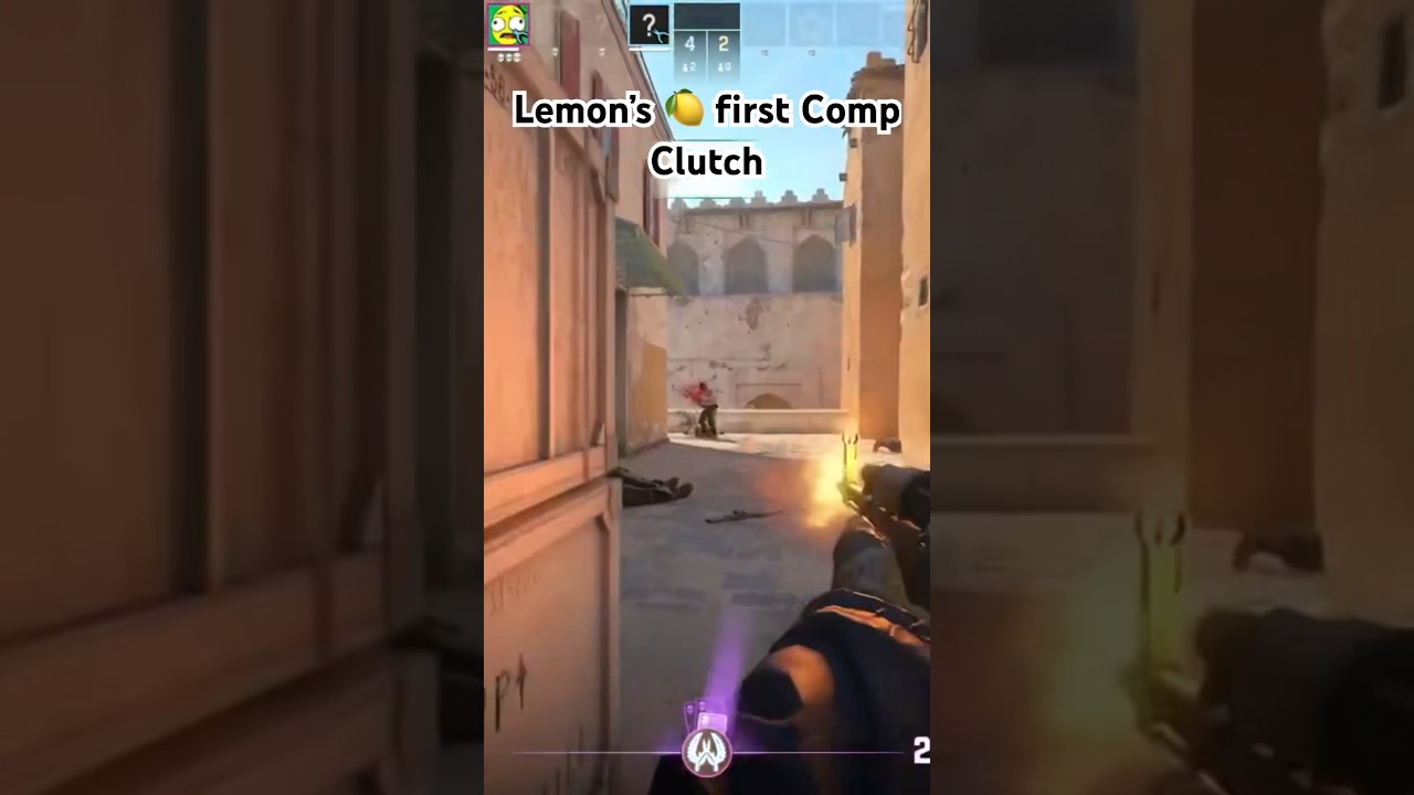 Lemons first Clutch (Silver 3)