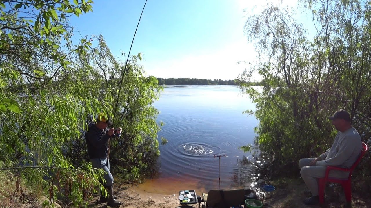 #рыбалка #фидер #лещ  Рибалимо всі разом. Фідер 2024 май🐟🐟🐟🇺🇦