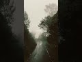 day 20, easy to judge #dailyshorts #viralshorts #easytojudge #disappear #fyp #dailylife