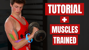 How To: Zottman Curl For MASSIVE Arms! (& Which Muscles You