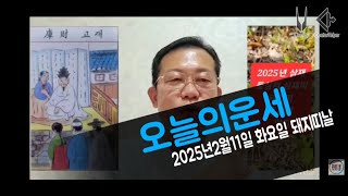 오늘의운세 2025년2월11일 화요일 돼지띠날 오늘의운세 #운세 #오늘의운세