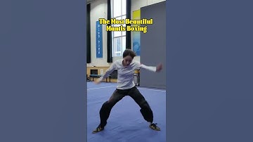 Kung Fu Goddess：The Most Beautiful Mantis Boxing #kungfu