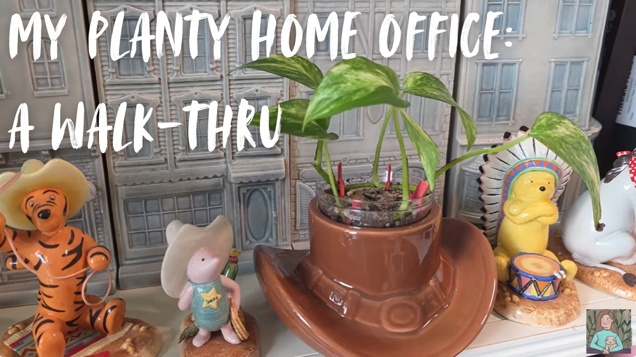 Welcome to my Jungle Office