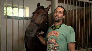 Ügetőderby 2025 - Freya T Boko