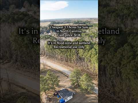3.1 acres in NC for $13K. #landcentury #land #northcarolina #realestate #fyp #shorts #property #fypシ
