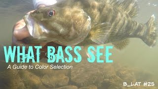 What Bass See (B.Lat #25) How to Select Lure Colors