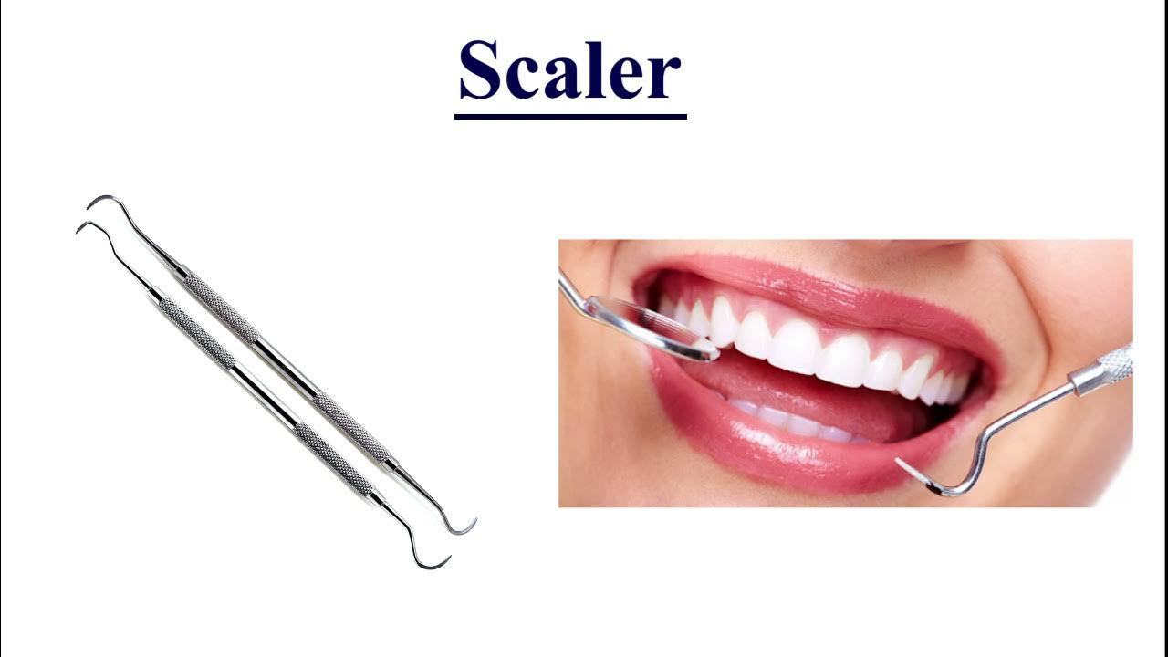 Dental Equipments Medihouse Laboratory Supplies and Surgicals