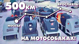 500км на МОТОСОБАКАХ! Из Москвы в Ярославль с ПРИКЛЮЧЕНИЯМИ! Серия 1