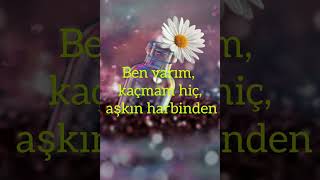 Mustafa Ceceli & İrem Derici feat.Sinan Akçıl-Çok sevmek yasaklanmalı (speed up + lyrics) Resimi
