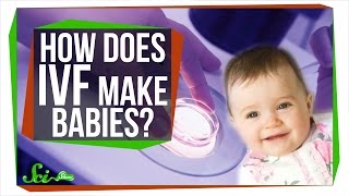 How Does IVF Make Babies? How Does IVF Make Babies?