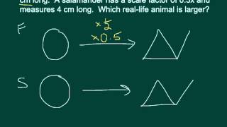 Scale Factor - Comparing Two Objects