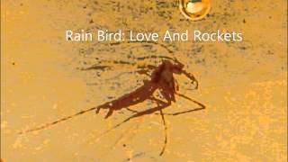 Watch Love  Rockets Rain Bird video