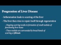 Liver Disease - Fibrosis