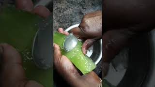 Fresh Aloe Vera Gingerlemonjuicealoe Vera Juiceplease Subscribeplease Supportshorts