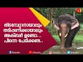 തിടമ്പേറ്റാനായാലും തടിപ്പണിക്കായാലും അക്ബർ ഉണ്ടേൽ പേടിക്കണ്ട | Plathottam Akbar | E4 Elephant