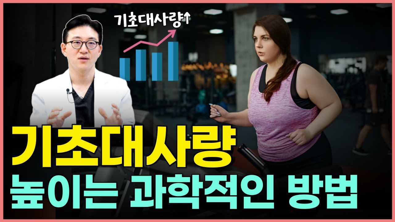 기초대사량을 높이는 과학적인 방법? 살 안 찌는 체질되는 방법