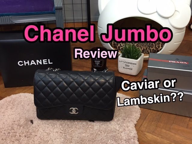 Chanel Jumbo Classic Flap Review // Caviar or Lambskin // Wear & Tear //  What Fits 