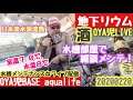 【OYA児LIVE】ガヤガヤ最高！今宵は水温8℃渓流魚水槽部屋の雑談水換えメンテライブ配信／アクアリウム、日本淡水魚、渓流魚、金魚、らんちゅう、OYA児BASE【地下リウム】20200220