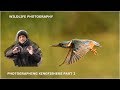 Photographing Kingfishers part 2-wildlife photography