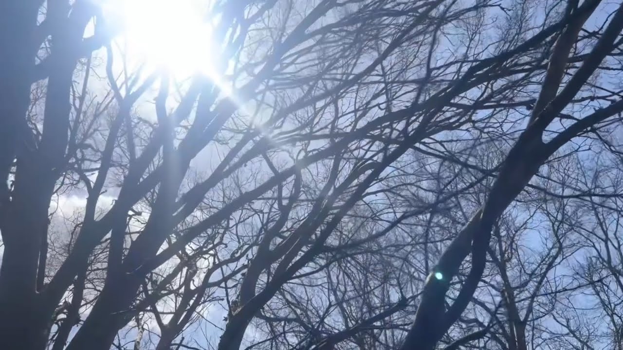 Add Sun View The Sun View - YouTube
