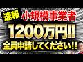 【速報】従業員0でも1200万円貰える「超ヤバい補助金」が遂に登場！個人事業・経営者の方は今すぐ申請してください！