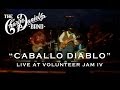 The Charlie Daniels Band - Caballo Diablo (Live) Volunteer Jam IV