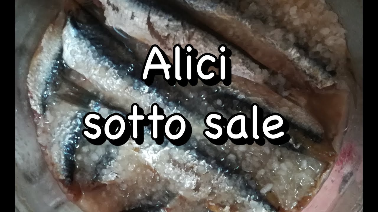 Alici sotto sale (ENG SUB)