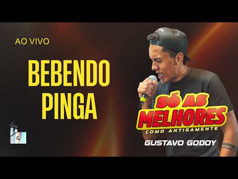 Gustavo Godoy - BEBENDO PINGA - SÓ AS MELHORES (Ao Vivo)