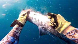 My LAST Dive of 2024!!! INSANE Day Hunting BIG Fish (Spearfishing St. Lucia)