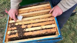 Врятував Бджолосімю / Бджільництво в Україні