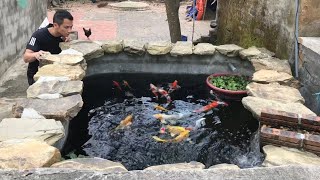 Koi fish tanks are simple, but they bring a lot of meaning to me