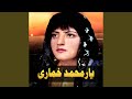 Gul Dana Dana Pashto Farsi