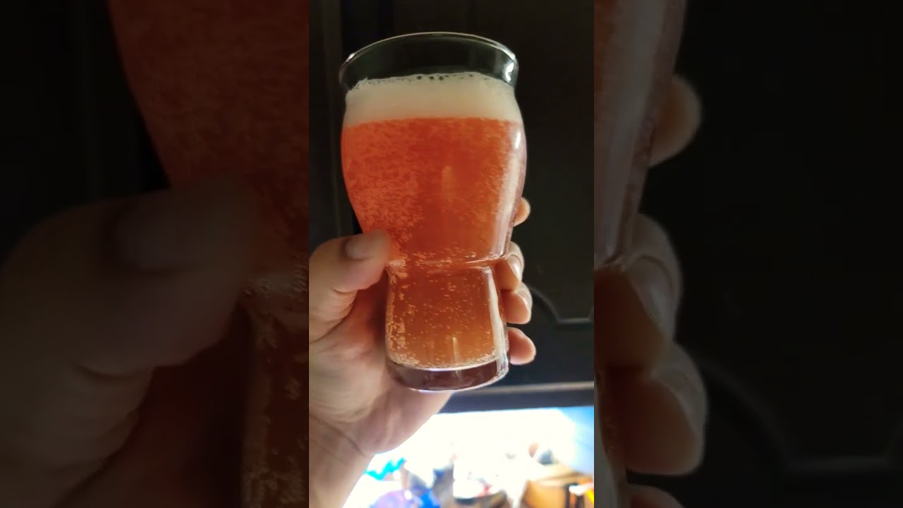 Dos Equis Michelada Original Review 