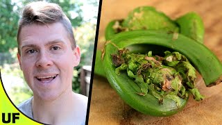 Fiddleheads Taste Test | Unusual Foods