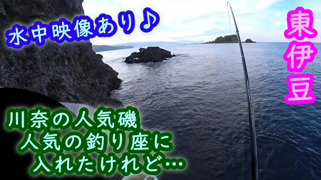 海磯などでフィッシングやられる方　必見 東伊豆】川奈の人気磯釣行＆水中映像【2026年5月上旬】 - YouTube