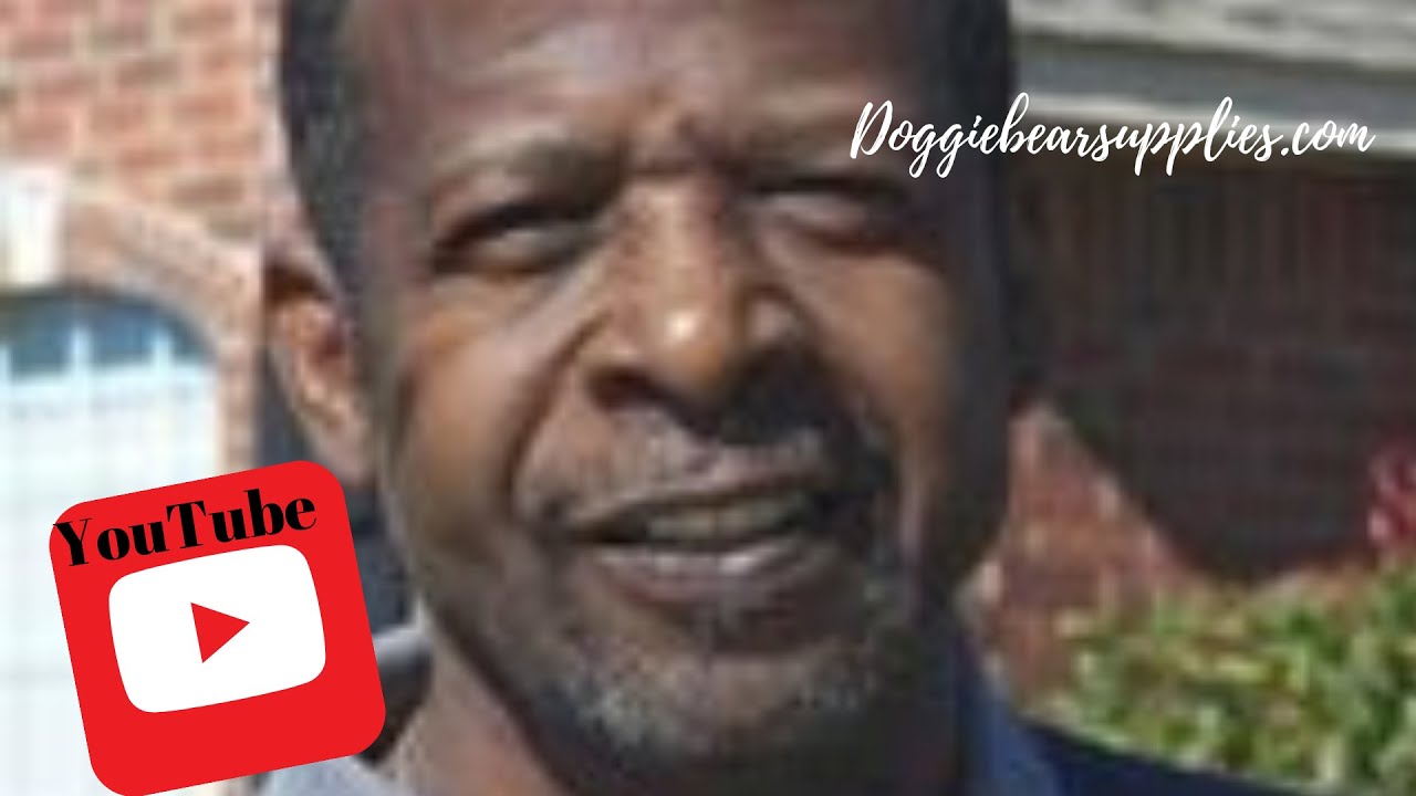 Grippers Non Slip Dog Socks  Help your Older Dog Gain the Traction they Need