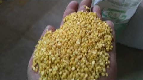 Webest brand color sorter new installation in Pakistan/whatsapp 86 152 1560 5300