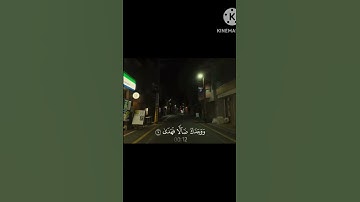 ما تيسر من سورة الضحى من الشيخ محمد صديق المنشاوي رحمة الله عليه 🤍#قرآن #سورة_الضحى #المنشاوي