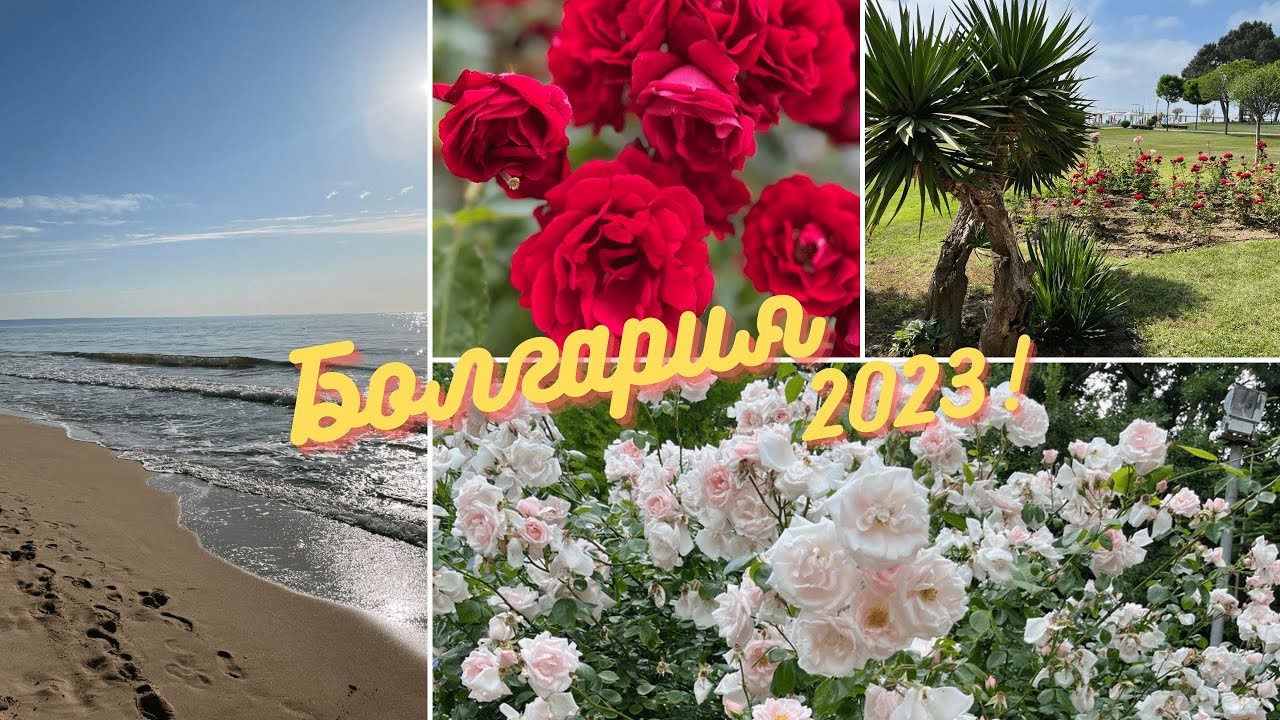 Золотые пески, Болгария 2023 | Обзор отеля Holiday park 4*