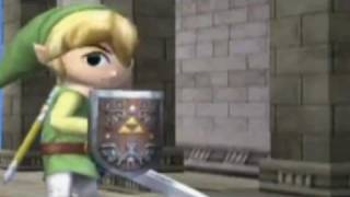 Toon Link's Privacy