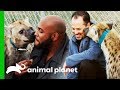 Vets Get Up Close And Personal With A Playful Hyena | The Vet Life