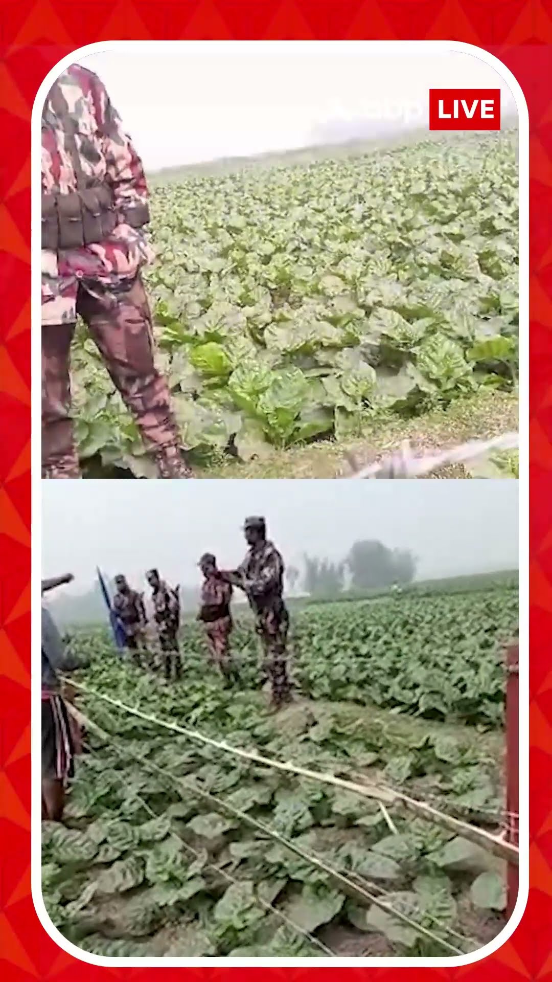 কাঁটাতার লাগাতে ফের বাধা BGB-র I মেখলিগঞ্জ সীমান্তে উসকানি বাংলাদেশের